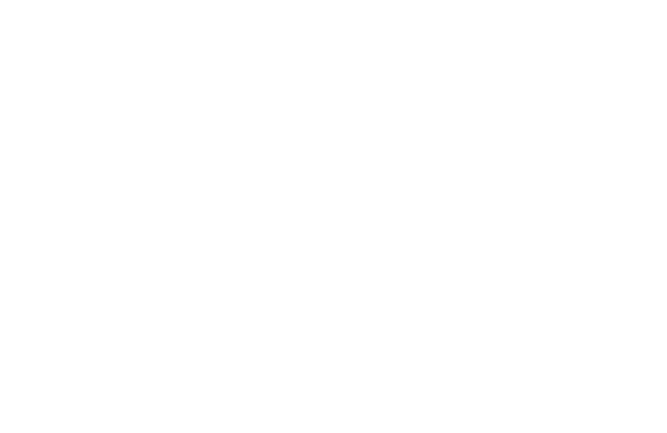 Fundacja "wolność Wyboru" logo